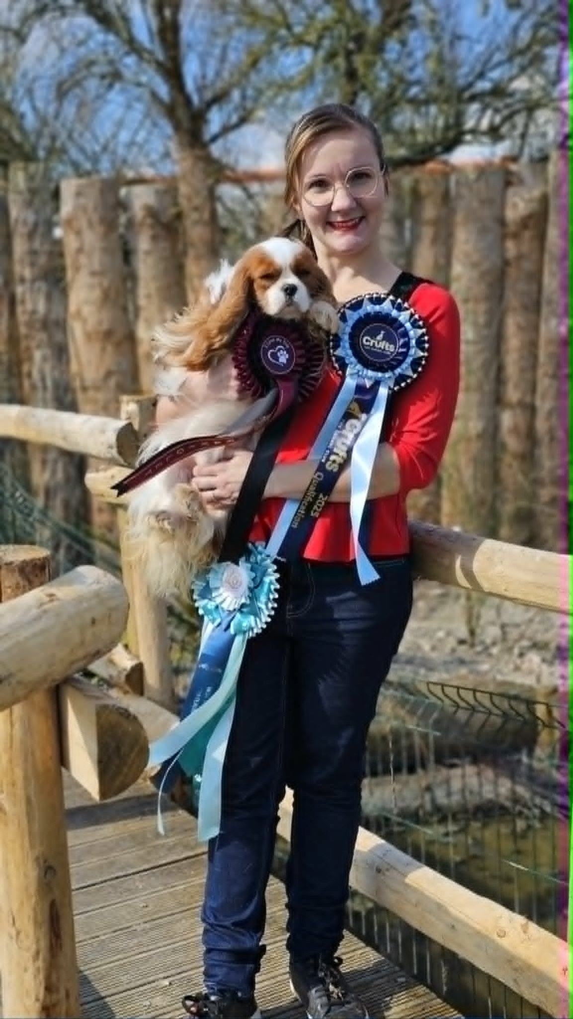 Ultra Violet avec ses récompenses au retour de Crufts